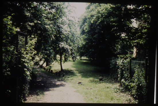 2000