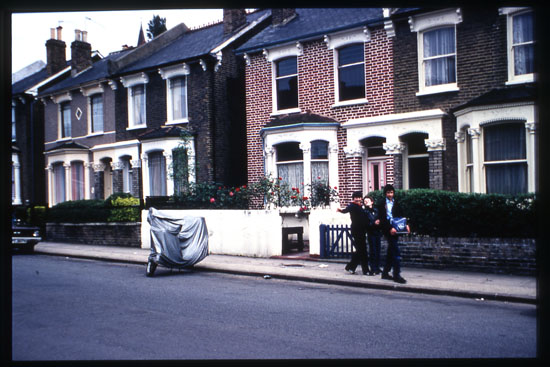 1981
