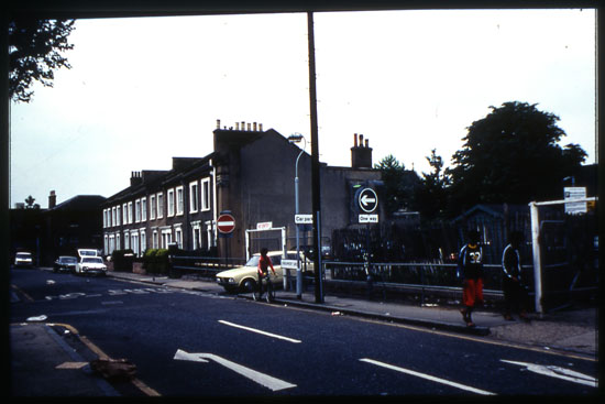 1981