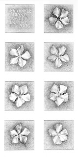 periwinkle flower drawing