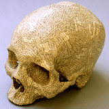 Humument skull